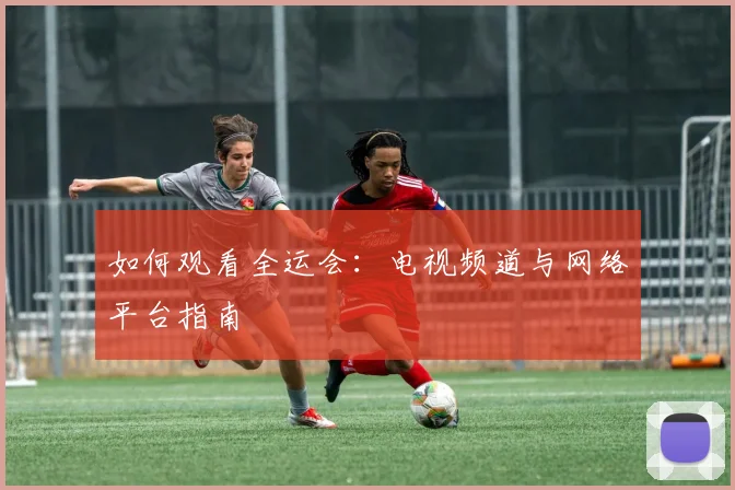 如何观看全运会:电视频道与网络平台指南